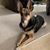 Michelle Johnston Selesky's profile image