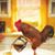 Lisa Mason's profile image