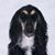 Michele Friedenfels's profile image