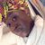 Sadyah Valentin's profile image
