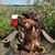 Cory Beaver's profile image