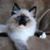 Terri Lee's profile image
