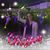 Valerie N Parker's profile image