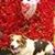 Susan Beam-Gilleland's profile image