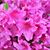 Amy Moore Secules's profile image