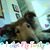 David Anthony Seither's profile image