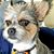 June Kunkle Taylor's profile image