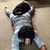 Aaron Rainey-Spence's profile image