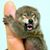 Robert Johnson's profile image