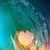 Nicole Jones Singh's profile image