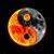 Kerry Webb's profile image