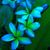Marybeth Benson's profile image