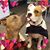 Dawn Christensen's profile image