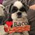 Charlie RomanoOlson's profile image