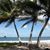 Kathy Shank-Buchanan's profile image