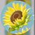 Marcia C Francis's profile image