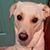 Mandi Anne Rutherford's profile image