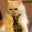 Lidia Aza's profile image