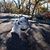 Charles E. Pare''s profile image