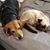 Mindy Gilroy's profile image