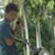 Ahmad Sutaryadi's profile image