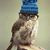 Anna M Russell's profile image