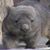 Tim Gleason's profile image