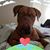 Melissa Williamson's profile image