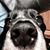 Chuck Pilny's profile image
