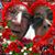 Alzira Lazaro's profile image