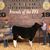 Ashlee Hardy-Byers's profile image
