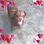 Michelle R. Inzunza's profile image