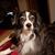 Donna Hall's profile image