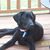 Laura Ray Beasley's profile image