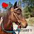 Tracey Leslie Long's profile image