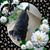 Tracy Jones's profile image