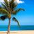 Rhonda Soward-Knapik's profile image