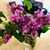 Dina Kempa Tallis's profile image