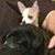 Suzette Johnson Jenkins's profile image