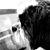 Tomas Alexander-LeBase's profile image