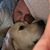 Mike Wagoner's profile image
