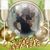 Carol Rose's profile image