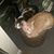 Patrecia M. Ober's profile image