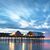 Susan Mellish's profile image