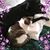 Susan Wille's profile image