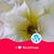 Mahmud Farooque's profile image