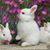 Carol Ann Brant's profile image