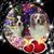 Kayla Ricard's profile image