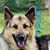 Sharon Albert Pelkey's profile image
