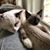 Joleen Marie's profile image